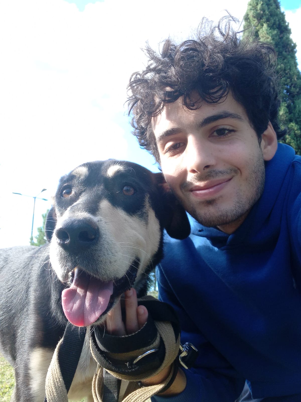 A dog called Rosie, brown and black posing on a selfie with one of the volunteers