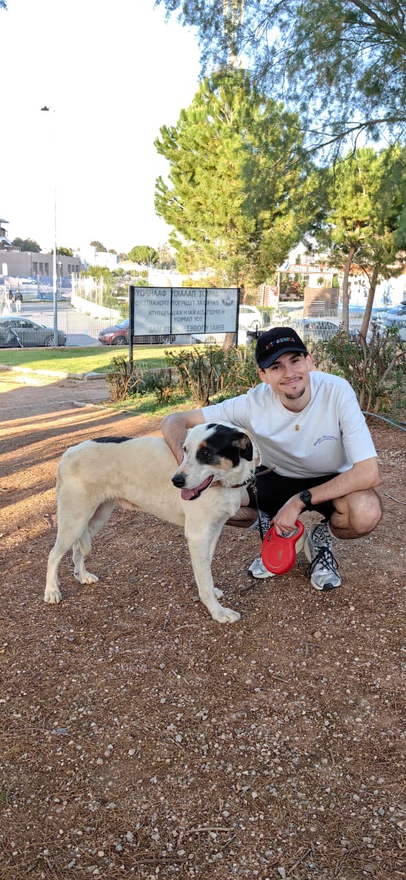 White and black doggie posing for a photo with a young male volunteer