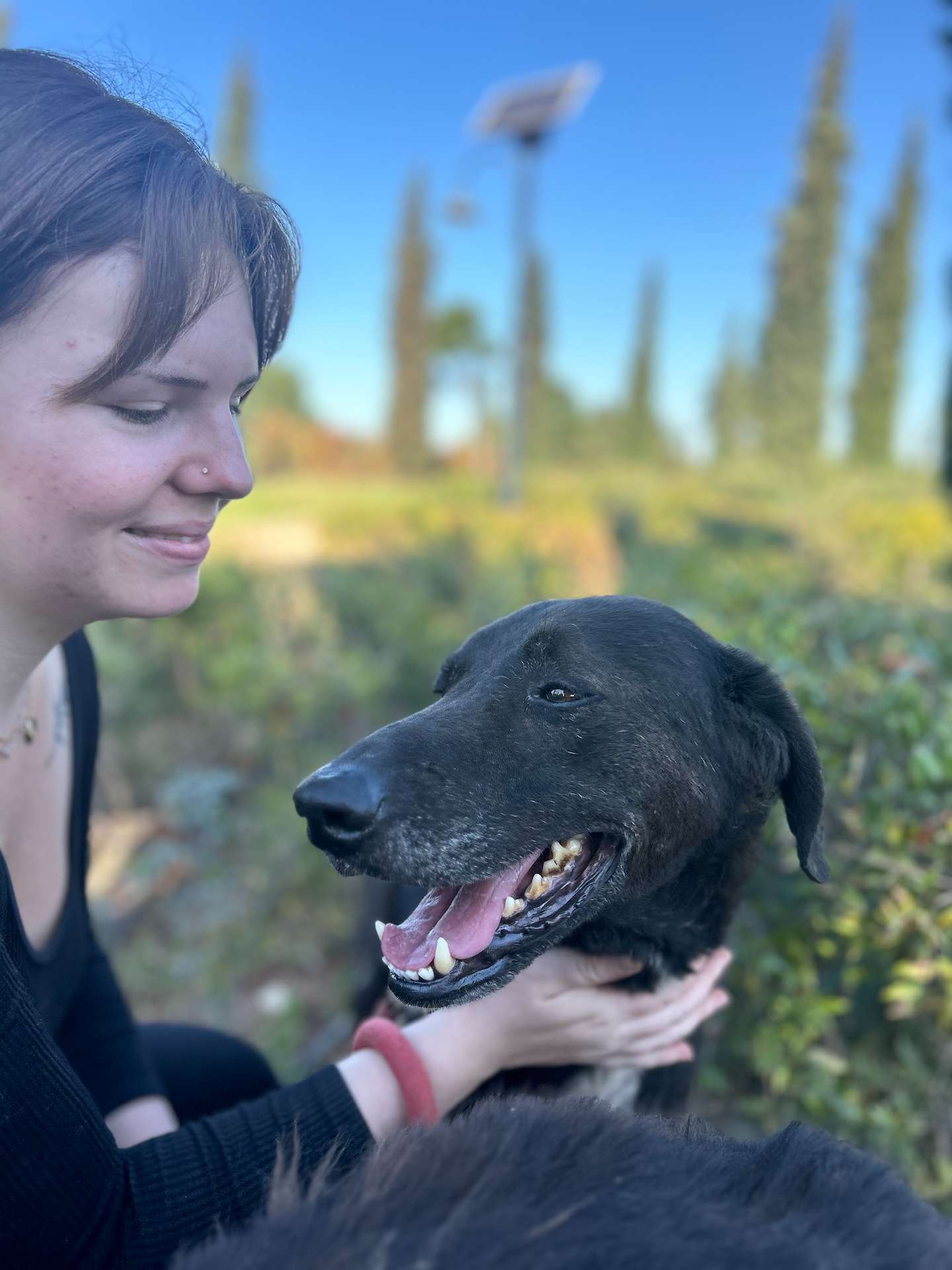 Othello being pet by one of our volunteers