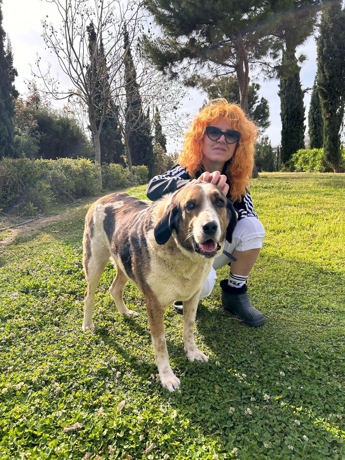 Oscar with a volunteer in the park
