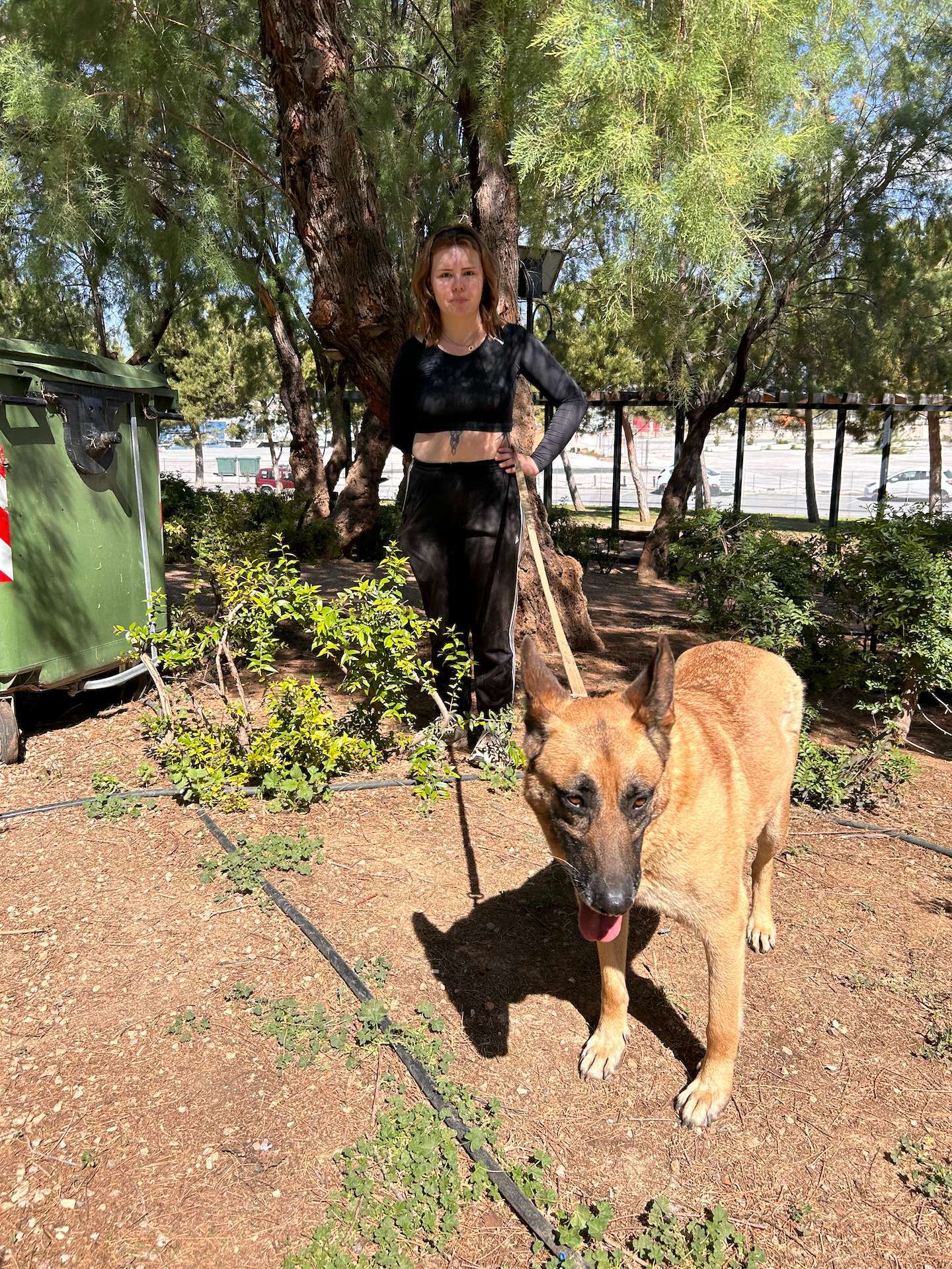 Brown doggie named Amadeus walking in the park with a female volunteer