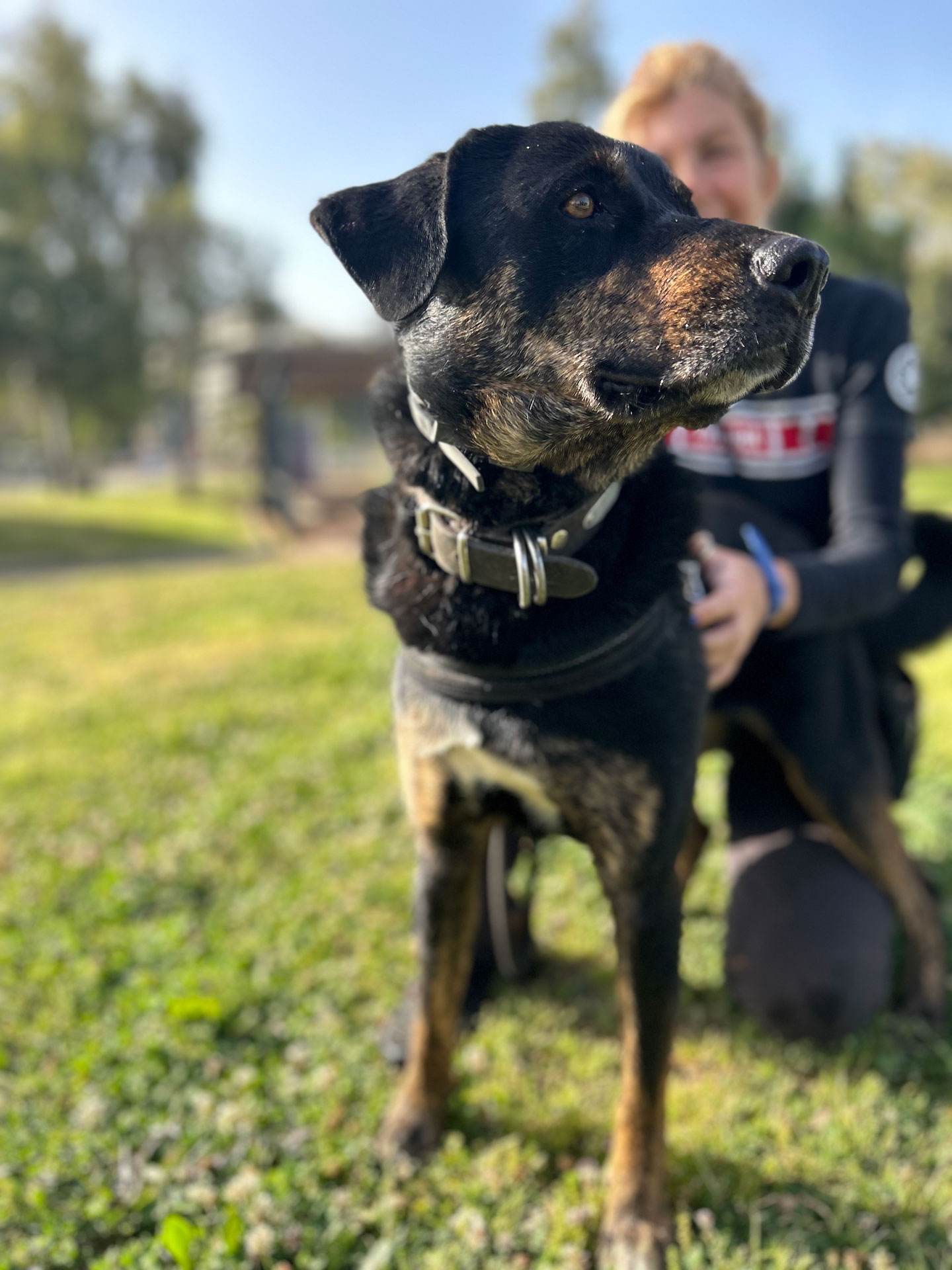 You can see Luna, a black dog in a middle of a grass field with one of the volunteers